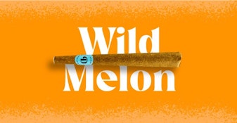 Wild Melon Infused 1g Blunt