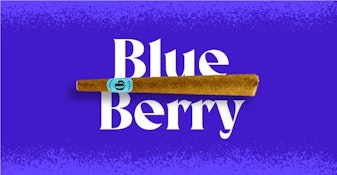 Blueberry Infused 1g Blunt