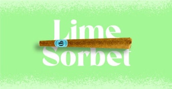 Lime Sorbet Infused Blunt 1g 