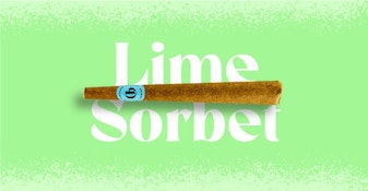 Lime Sorbet Infused 1g Blunt