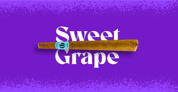 Doinks - Sweet Grape Infused 1g Blunt