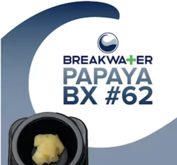 Breakwater | Concentrate | Papaya BX #62 | Live Hash Rosin | 1g