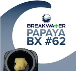 Breakwater - Breakwater | Concentrate | Papaya BX #62 | Live Hash Rosin | .5g
