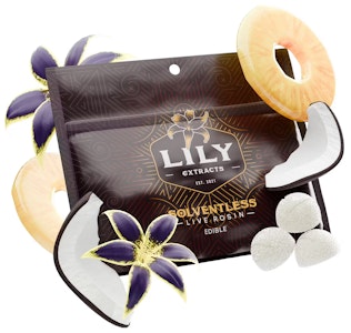LILY EXTRACTS - WILD CHERRY CANNAPUNCH PECTIN CHEWS  100mg 