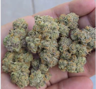 Black Maple - Flower - 3.5 g - 1ct - R and D