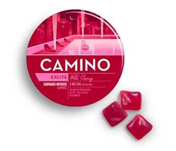 CAMINO - Wild Cherry Exhilarate 100mg