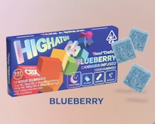 HIghatus - Blueberry - 10pk