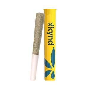 KYND CANNABIS COMPANY - Kynd | Bolo Runtz | 1g | Pre-Roll