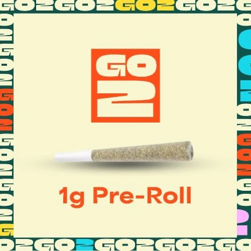 Go2 - Y2K Preroll 1g Main Image