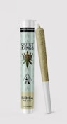Quiet Kings - Glitterati pre roll
