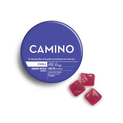 Camino - Wild Berry Chill Gummies 20pk 100mg Main Image