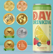 Kick Fizz - Day n Evening Lemonberry Ice - 5mg