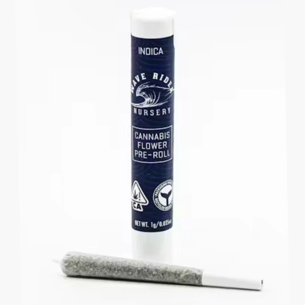Wave Rider - Blueberry Pancakes Preroll (1g) Main Image