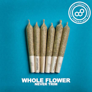 THERAPLANT - Wedding C PR Minis 4901