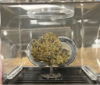 C40 Infinity Stoned Double Runtz Flower 3.5g