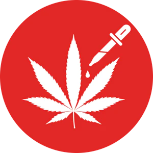 CLSICS - Tropicana Punch 1g Hash Infused Pre-Roll - Clsics