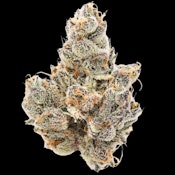 Island Sweet Skunk - 3.5g (S) - Sense