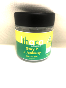 iTHaCa cultivated - iTHaCa cultivated - Gary P x JEALOUSY - 3.5g - Flower