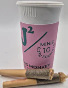 J2 Leprechaun Poop 10pk Pre-Roll .33g
