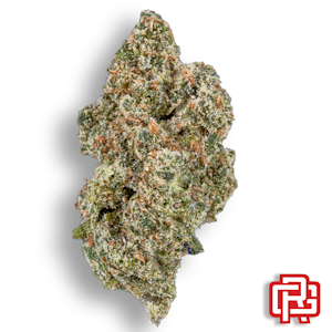 Midnight Fruit Co. - Jack Herer Flower