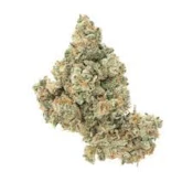 JACK HERER 1/4oz