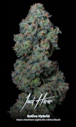 Jack Herer 14G Sativa- Half Oz By Alt Sol