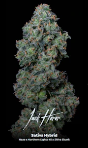 ALTERNATIVE SOLUTIONS - Jack Herer 14G - Half Oz By Alt Sol