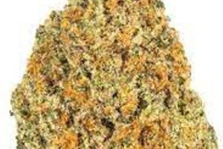 LEELA HERB CO - Leela Herb Co | Jealousy