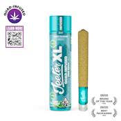 JEETER | SOUR TSUNAMI XL - INFUSED | PREROLL | 2G