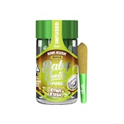 KIWI KUSH BABY JEETER (5PK) - JEETER