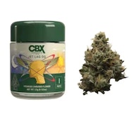[Cannabiotix] Flower - 3.5g - Jet Lag OG (I)