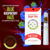 Jerzy Landscapes | Blue Raspberry Haze | Disposable | 1g