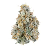 Flower | Gary Payton