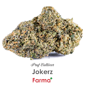 Pruf Cultivar Jokerz