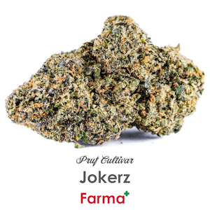 PRUF CULTIVAR - Pruf Cultivar Jokerz