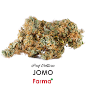 Pruf Cultivar JOMO