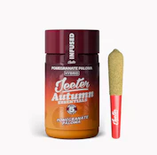 5 PACK INFUSED - POMEGRANATE PALOMA .5G - JEETER