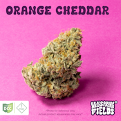 Orange Cheddar Flower - 2.83 grams