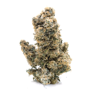 LaHaze Cannabis Co. - LaHaze Jack Herer Cola Deli