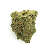 Jack Herer | 3.5g
