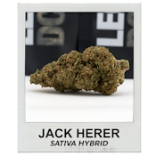 Jack Herer