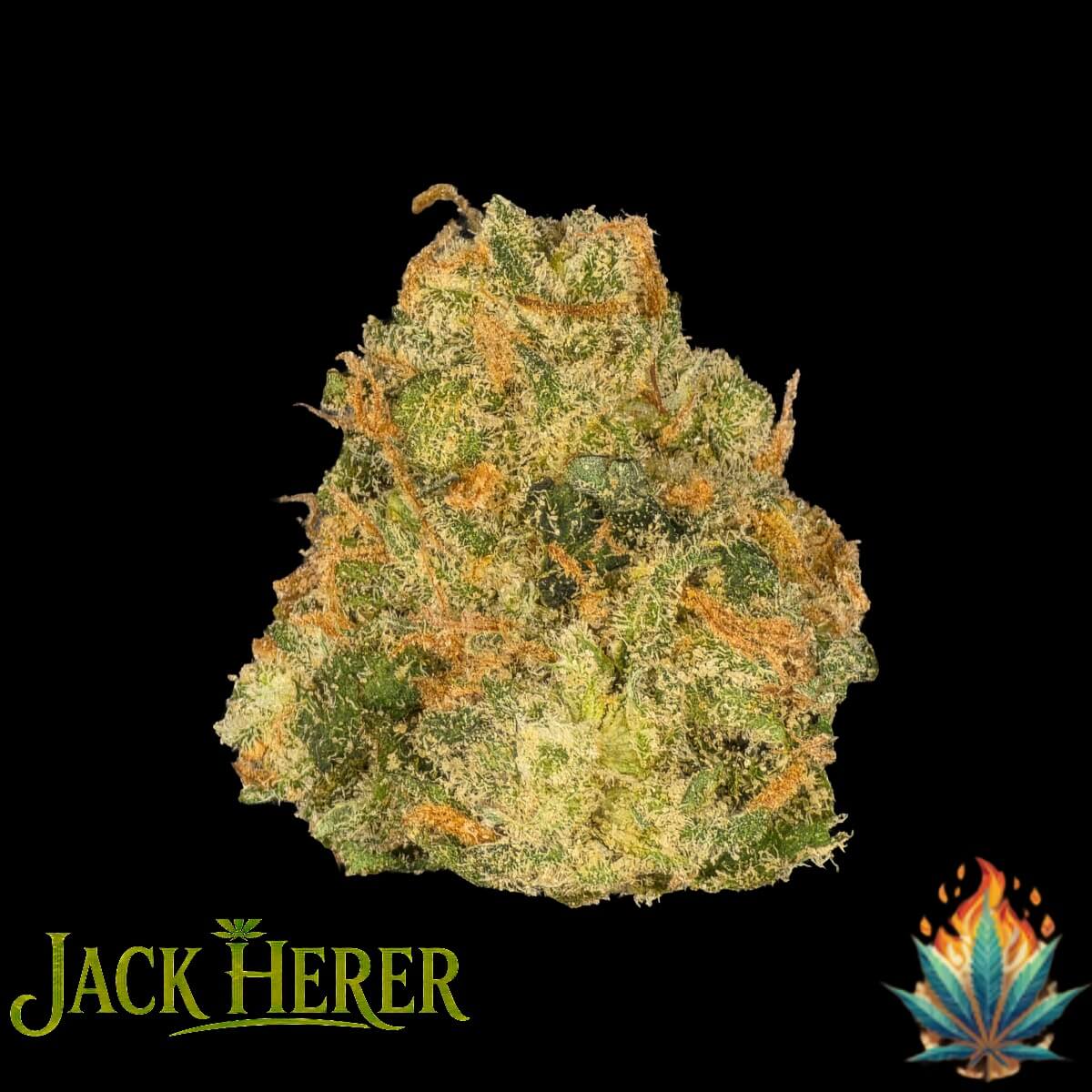 Native Fire 3.5g- Jack Herer