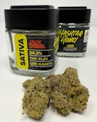 Jack Diesel | 3.5G