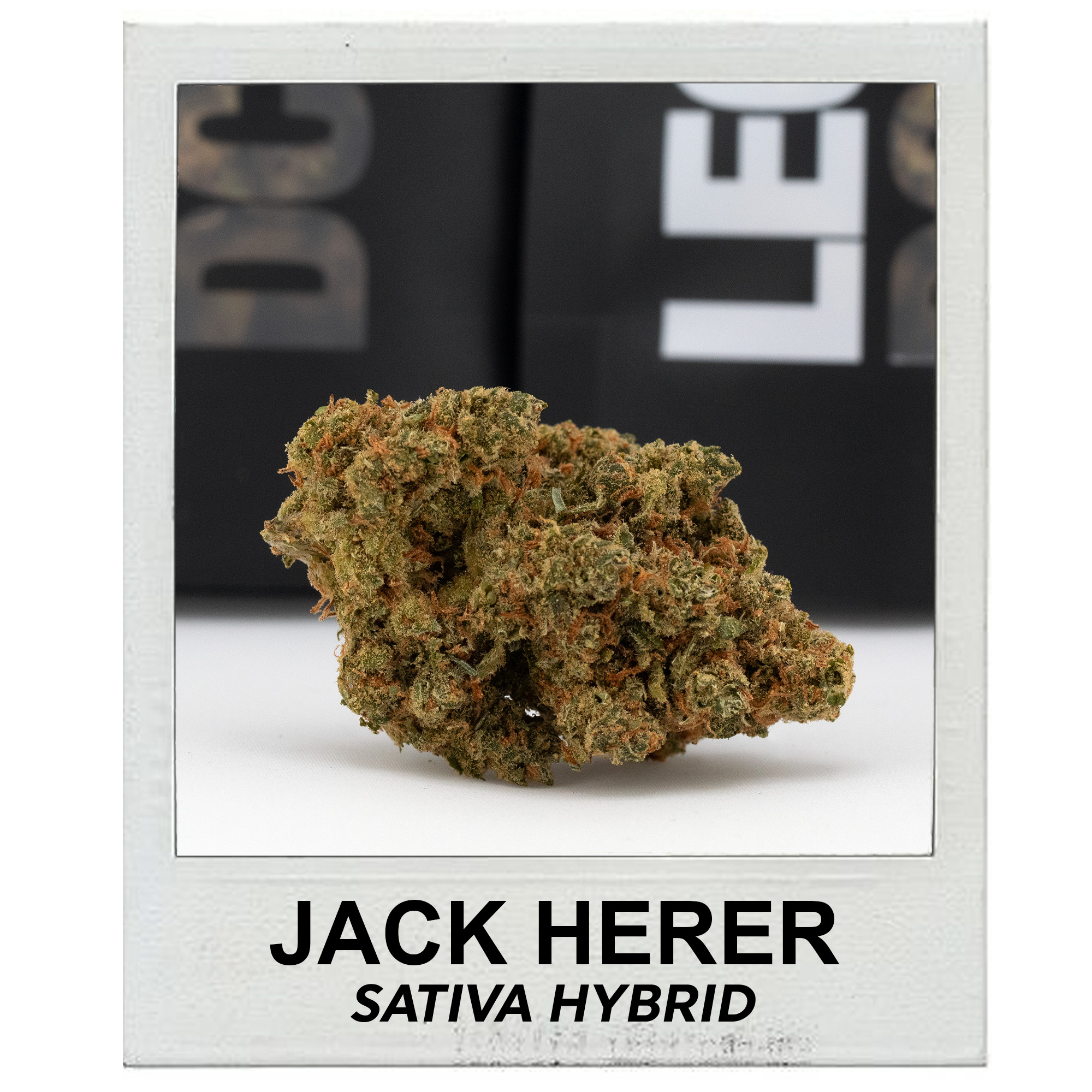 Jack Herer