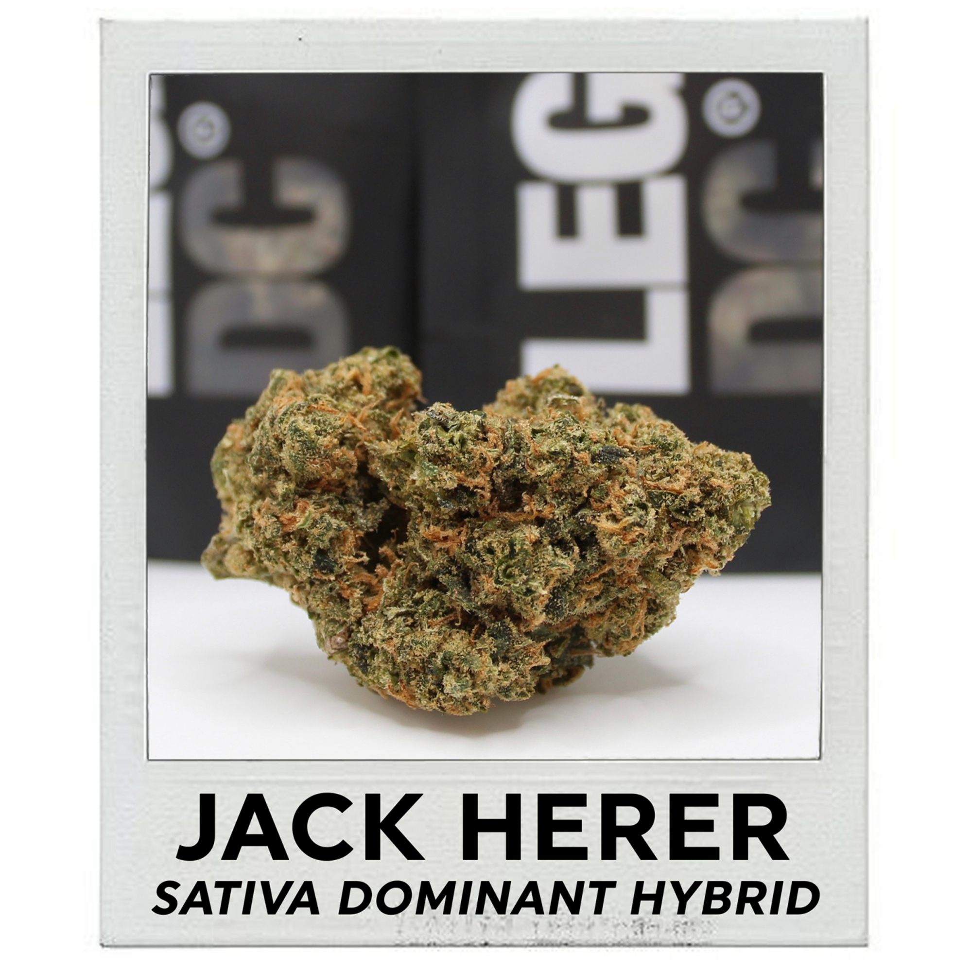 Jack Herer