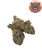 Jammerz