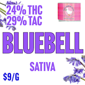 Green Mountain Sativa | Bluebell