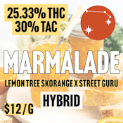 Forest City | BULK Marmalade