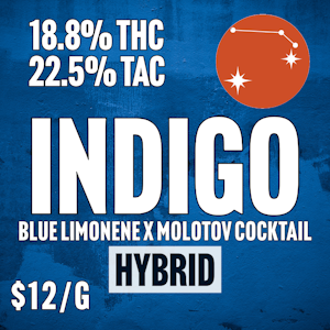 Forest City - Forest City | BULK Indigo