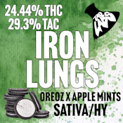 TAO Labs | Iron Lung